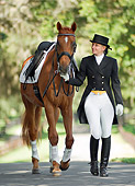 HOR 01 MB0245 01
Woman In Dressage Clothes Leading Warmblood On Road