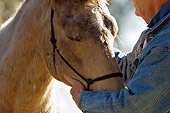 HOR 01 MB0248 01
Old Man Holding Head Of Old Horse