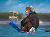 Girl Pool Chimp