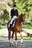 HOR 01 MB0244 01
Woman Riding Dressage On Warmblood Walking On Road