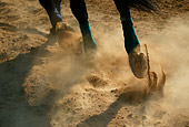 HOR 01 KH0031 01Close-Up Of Race Horse's Hooves