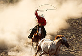 WRG 01 RK0074 04Close Up Of Wrangler Chasing Appaloosa Horse With Lasso In Air